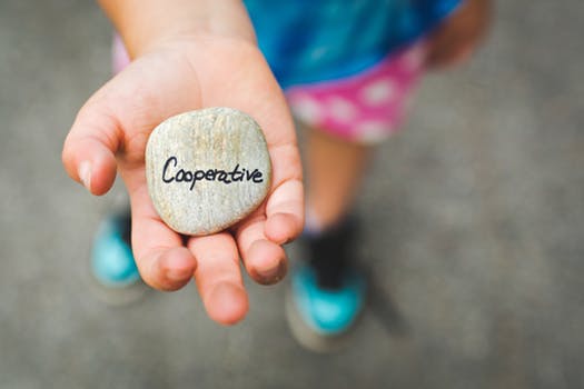 Cooperation and Discipline