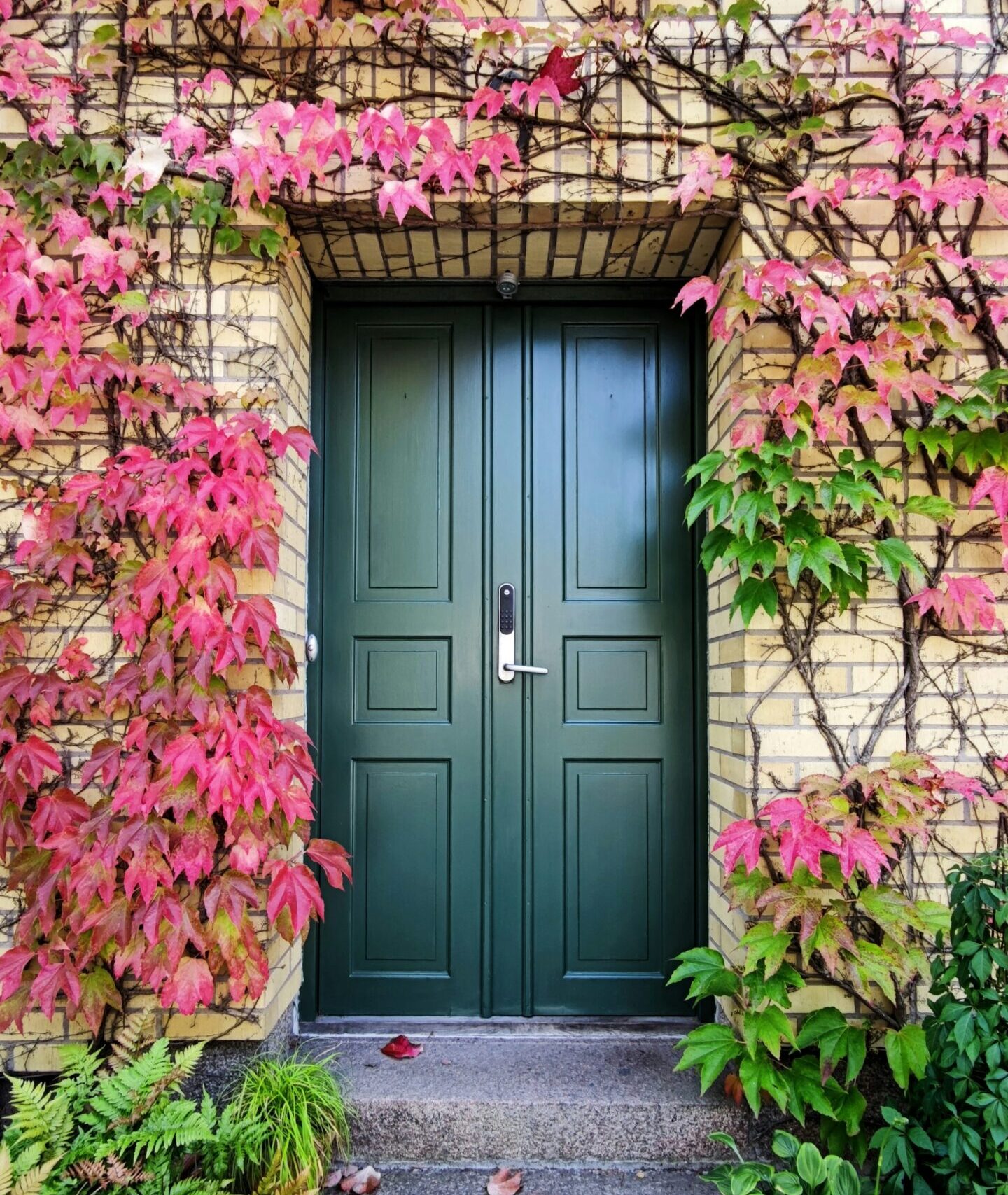 smart door lock, smart locks