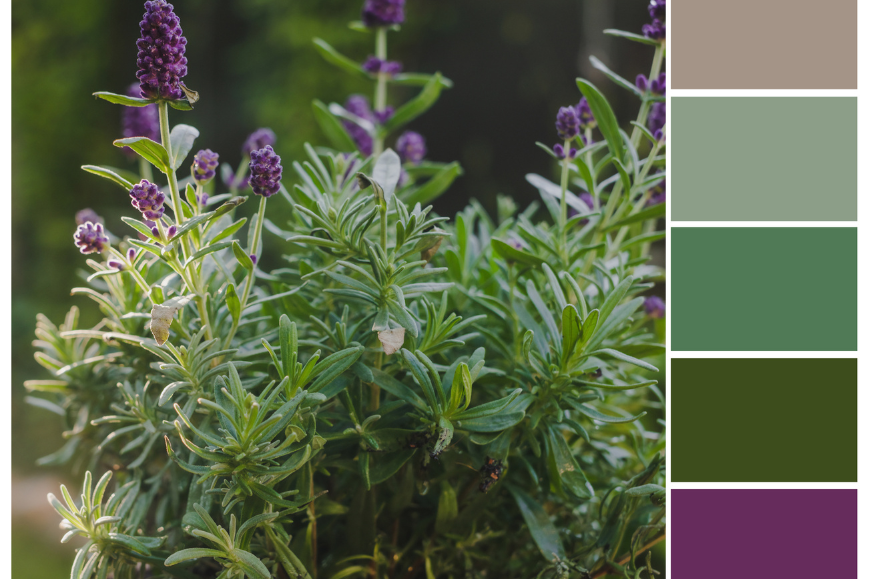 Natural landscapes colour palette