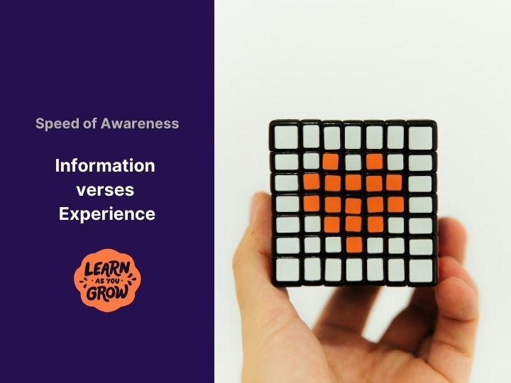 Speed of Awareness: Information verses Experience
